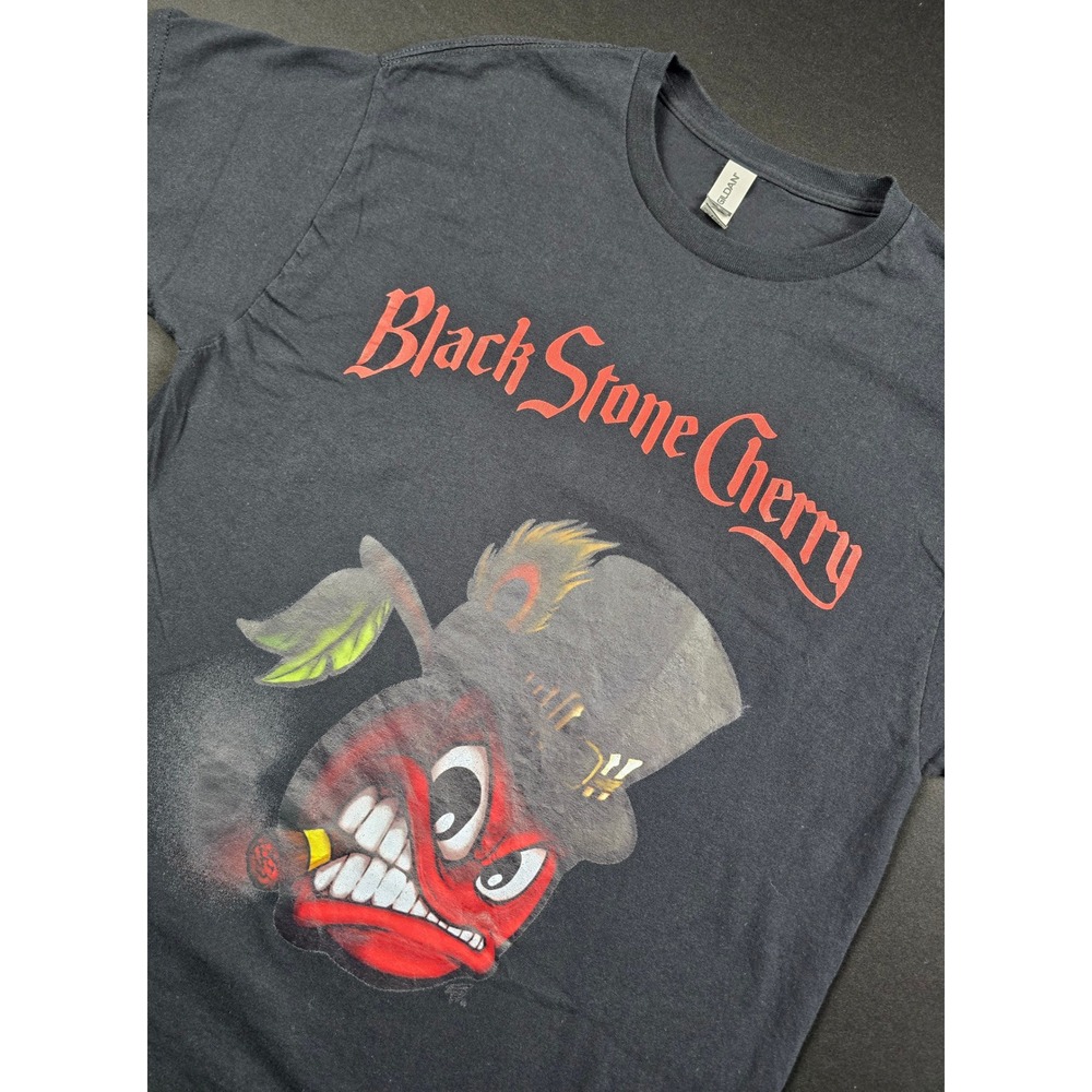 Black Stone Cherry Band T-Shirt Mens Large Black Graphic Rock Tee Gildan Cotton